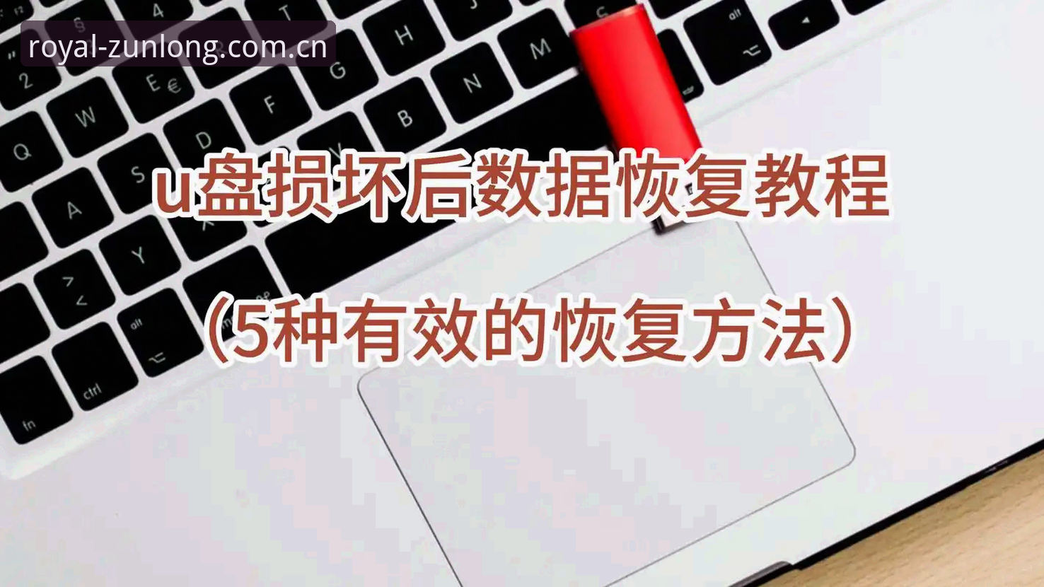 尊龙体育平台登录入口教程：4种方法与5大避坑要点